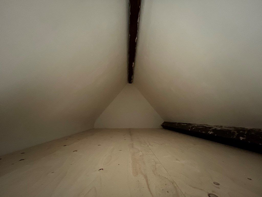 29f1c7c5-e4af-4aa6-9388-607562e1c49d.jpg