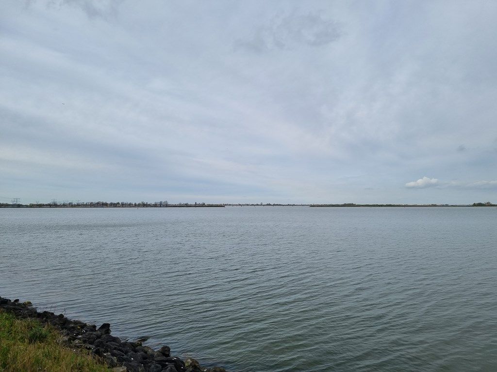 e90973ef-6358-4701-af88-d5cfec6c5543.jpg