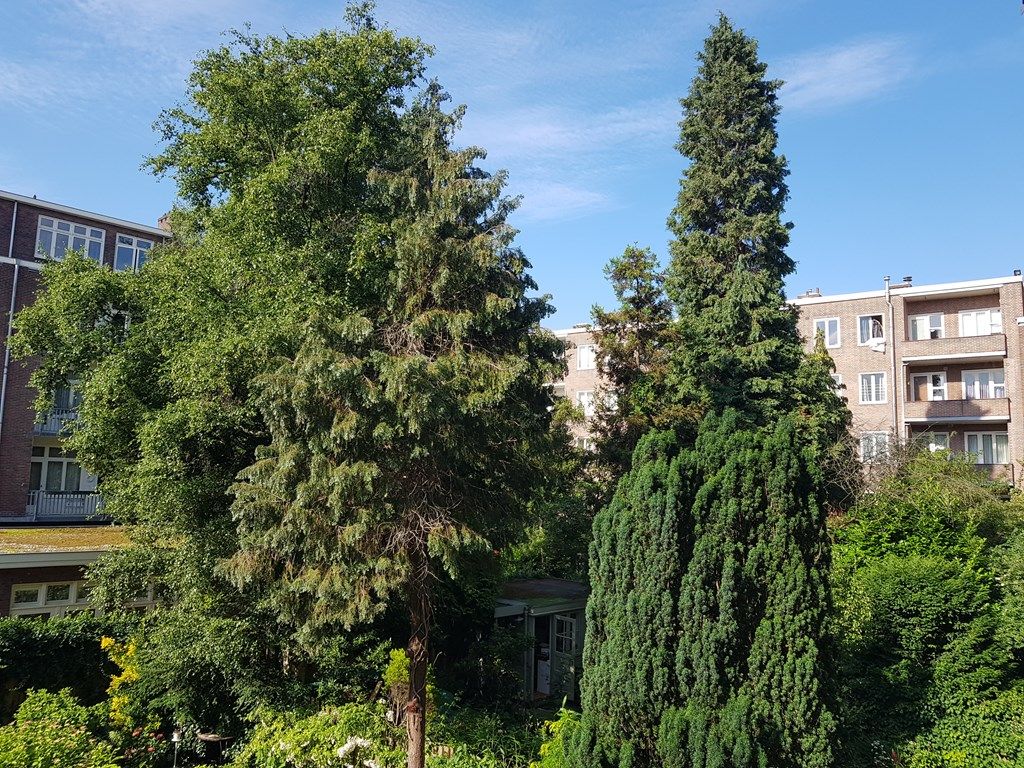 fec71dfd-2629-4bf8-a617-d6de8445212d.jpg